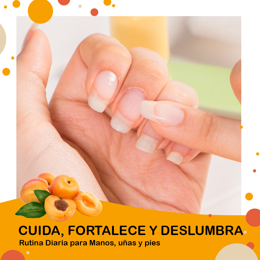 Aceite de Nuez de Albaricoque Ecológico B.O.T - Imagen 8
