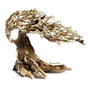 Bonsai Aquascaping S Wave