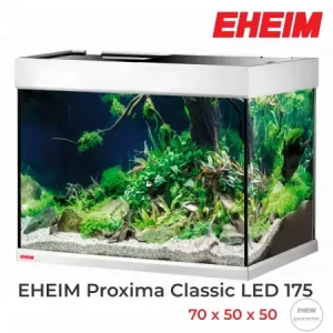 Eheim Proxima Classic LED 175 Blanco