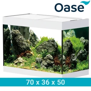 Oase StyleLine 125 Blanco 126 Litros