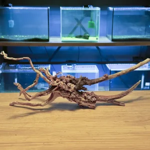 Redmoore RF232 | Raíz Roja