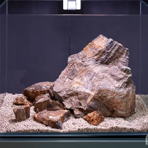 Roca Madera No Sube Gh