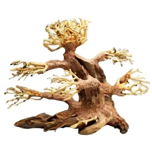 Bonsai Aquascaping S