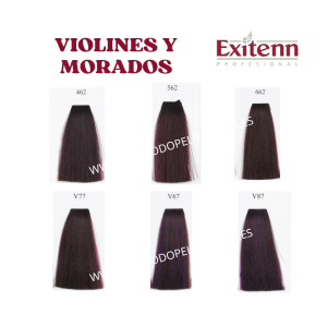 TINTE / COLORACIÓN PARA EL PELO COLOR CREME EXITENN GAMA: VIOLINES Y MORADOS Nº: 462, 562, 662, V67, V77 y V87